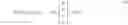 Fig. 04 - Edge MMSE filters