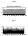 Fig. 06 - Apparatus and method of acquiring initial synchronization of terminal in mobile communication system