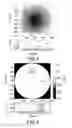 Fig. 04 - Apparatus and Method for the Processing of Sectional Images