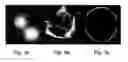 Fig. 06 - METHOD FOR SEGMENTATION OF DIGITAL IMAGES