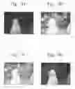 Fig. 09 - Apparatus and method for enhancing color images