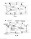 Fig. 07 - Method of group guiding service in sensor networks and system using the same