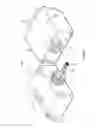 Fig. 08 - INTERCHANGEABLE COSMETIC PACKAGE ELEMENTS