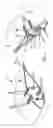Fig. 02 - Wind turbine blade