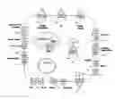 Fig. 01 - Compositions and Methods for the Treatment and Prevention of Neoplastic Disorders