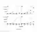 Fig. 13 - Compositions and Methods for the Treatment and Prevention of Neoplastic Disorders
