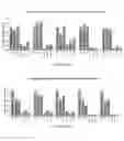 Fig. 19 - Compositions and Methods for the Treatment and Prevention of Neoplastic Disorders