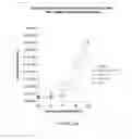 Fig. 23 - Compositions and Methods for the Treatment and Prevention of Neoplastic Disorders