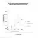Fig. 24 - Compositions and Methods for the Treatment and Prevention of Neoplastic Disorders
