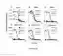 Fig. 34 - Compositions and Methods for the Treatment and Prevention of Neoplastic Disorders
