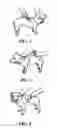 Fig. 02 - FORMULATION AND METHOD FOR A SUNBLOCK FOR ANIMALS