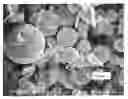 Fig. 01 - Silicone Elastomer Composite Powder, Method For Producing Silicone Elastomer Composite Powder and Cosmetics