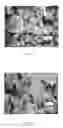 Fig. 02 - Silicone Elastomer Composite Powder, Method For Producing Silicone Elastomer Composite Powder and Cosmetics