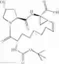 Fig. 69 - Hepatitis C virus inhibitors