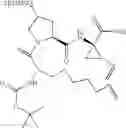 Fig. 75 - Hepatitis C virus inhibitors