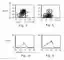 Fig. 03 - Method and pharmaceutical composition for treating inflammation