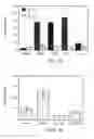 Fig. 04 - Method and pharmaceutical composition for treating inflammation