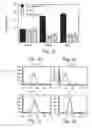 Fig. 05 - Method and pharmaceutical composition for treating inflammation