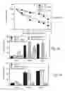 Fig. 06 - Method and pharmaceutical composition for treating inflammation