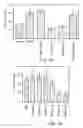 Fig. 07 - Method and pharmaceutical composition for treating inflammation