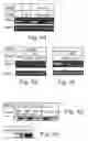Fig. 09 - Method and pharmaceutical composition for treating inflammation