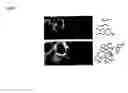 Fig. 02 - Conjugates of biologically active compounds, methods for their preparation and use, formulation and pharmaceutical applications thereof