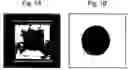 Fig. 02 - Three-dimensional tissue equivalent using macromass culture