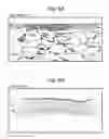 Fig. 07 - Three-dimensional tissue equivalent using macromass culture
