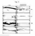 Fig. 12 - Three-dimensional tissue equivalent using macromass culture