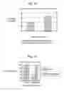 Fig. 13 - Three-dimensional tissue equivalent using macromass culture