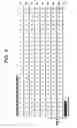 Fig. 12 - Methods And Compounds For Altering The Load Of Hepatitis Virus