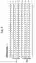 Fig. 13 - Methods And Compounds For Altering The Load Of Hepatitis Virus