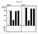 Fig. 20 - Methods And Compounds For Altering The Load Of Hepatitis Virus