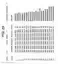 Fig. 25 - Methods And Compounds For Altering The Load Of Hepatitis Virus