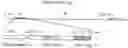 Fig. 01 -  p-Hyde sequences in the Rat