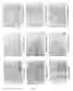 Fig. 08 -  p-Hyde sequences in the Rat