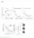 Fig. 02 - Memory influencing protein