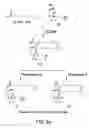 Fig. 07 - Immune-derived moieties reactive against lysophosphatidic acid