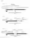 Fig. 07 - Vectors and methods for genetic immunization