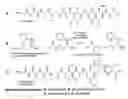 Fig. 01 - Means and methods for breaking noncovalent binding interactions between molecules