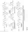 Fig. 02 - Means and methods for breaking noncovalent binding interactions between molecules