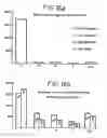 Fig. 43 - Recombinant DNA molecules encoding aminopeptidase enzymes and their use in the preparation of vaccines against helminth infections
