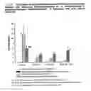 Fig. 52 - Dosage Form Containing Oxycodone and Naloxone