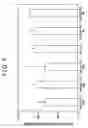Fig. 09 - Microparticle preparation and medical composition
