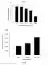 Fig. 06 - Compositions, methods, and devices for treating liver disease