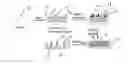 Fig. 02 - Polymer composite photonic particles