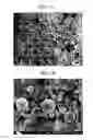 Fig. 06 - Process for producing metallic ultrafine powder