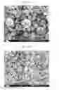 Fig. 07 - Process for producing metallic ultrafine powder