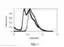 Fig. 02 - Bis-carbazole monomers and polymers