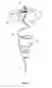 Fig. 02 - ORNAMENTS FOR REVOLVING IN RESPONSE TO WIND